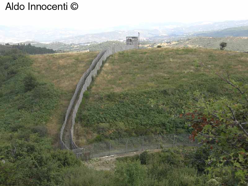 ALTANA LUPI: 2' IMMAGINE
